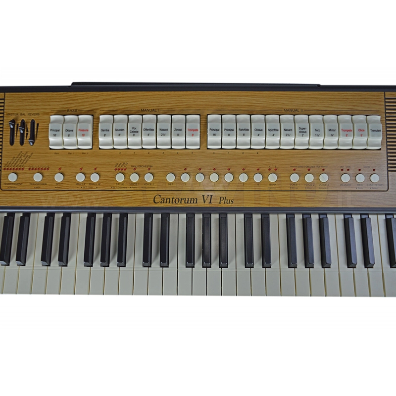 Viscount Cantorum VI PLUS Organo liturgico Portatile
