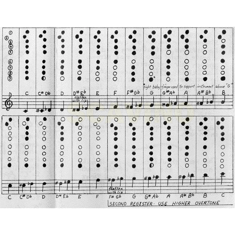 Maui Xaphoon Standard Pocket Sax in ABS in Do