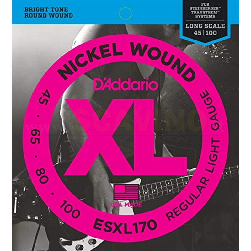 D'addario ESXL170 CORDE BASSO STEINBERGER 45-100 Doppio Pallino