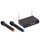 Soundsation WM V21HHA Microfono Wireless, radiomicrofono doppio