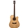 Goldwood Dreadnought cutaway Eq Natural