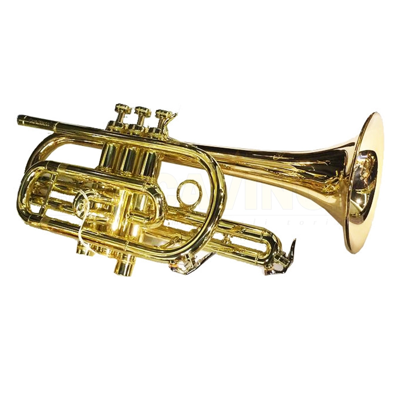 CORNETTA CAROL BRASS CCR3882-GSS-BB-L