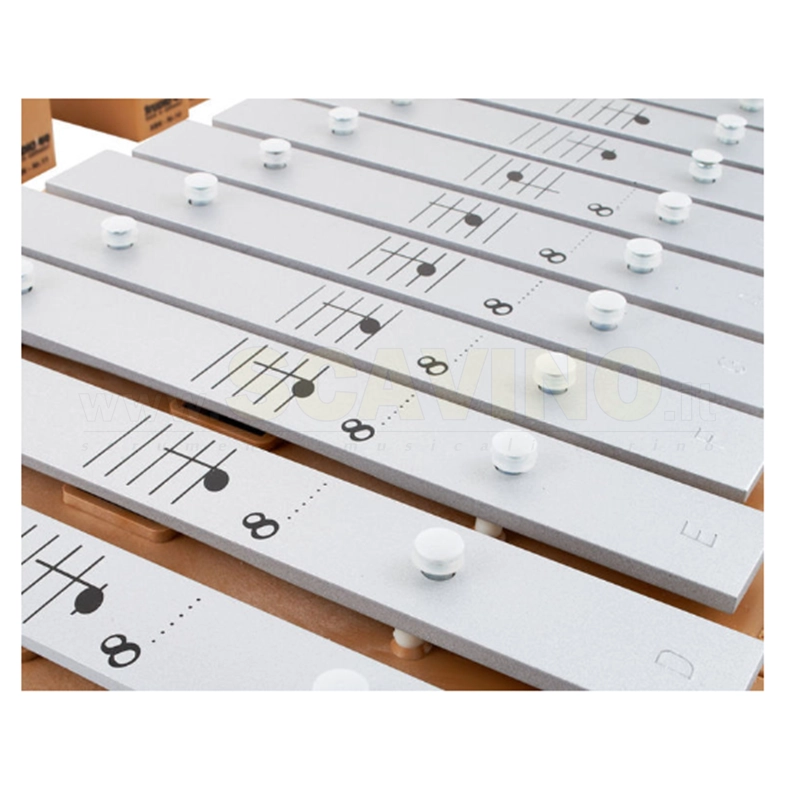 Studio 49 KBN3c Set Cromatico 25 Piastre