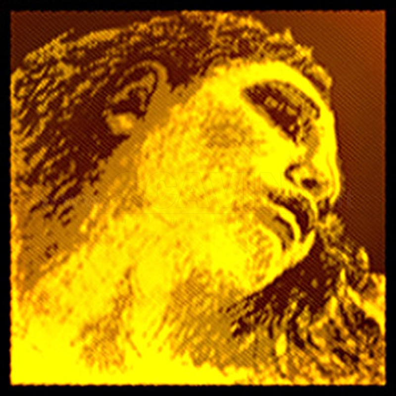 Pirastro Evah Gold Violino Set con Sol Oro 415021