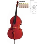 Bruck C/basso 1/2 Laminato HDB-01 con arco e borsa