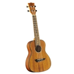 Eko Uku Duo Ukulele Concerto