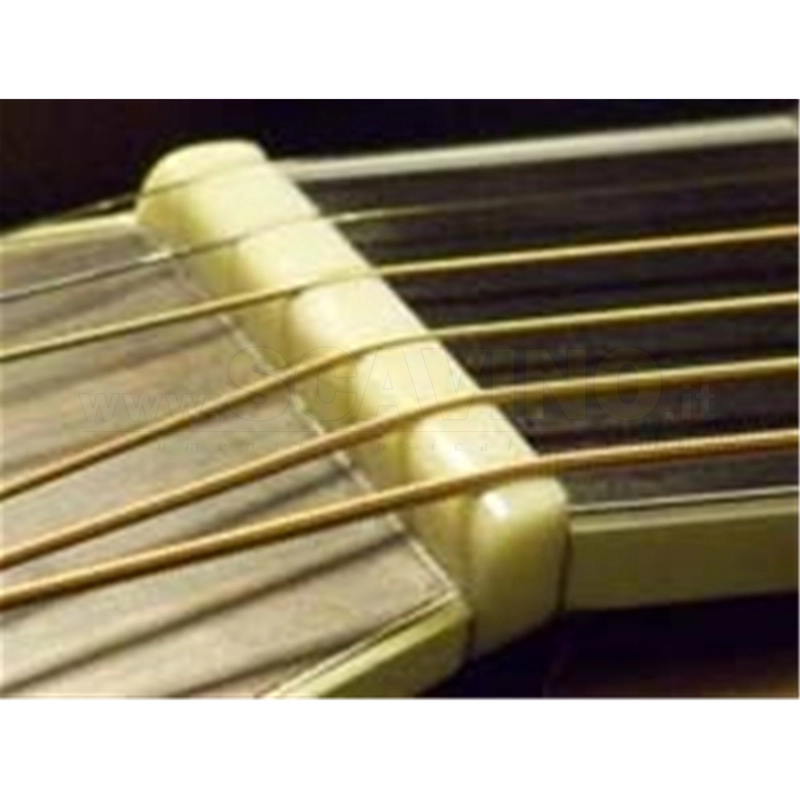 Martin & Co. NPA Nut Capotasto