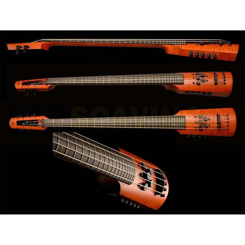 NS Design CR4 Omni Bass 4 corde Fretted
