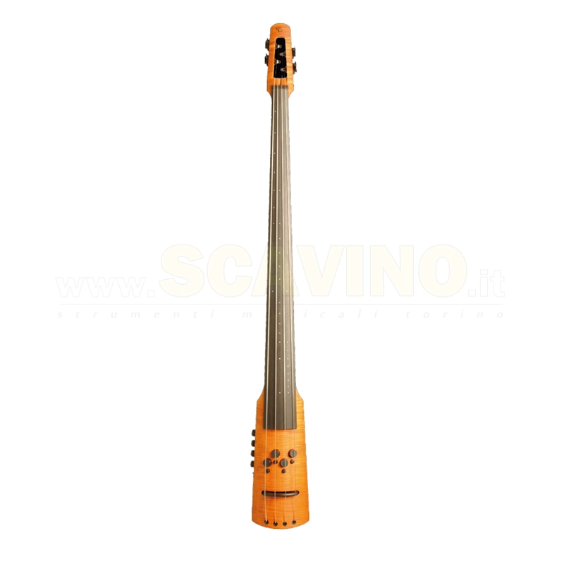 NS Design CR4 Omni Bass 4 corde Fretless