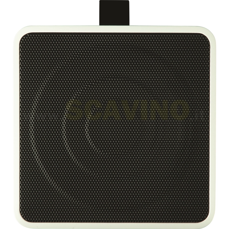 Eko EAmp 40W Eclectic Amplificatore a batterie ricaricabile Bluetooth
