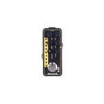 MOOER 014 TAXIDEA TAXUS