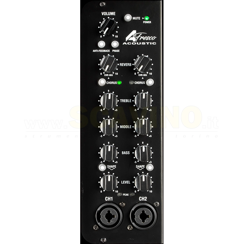 Laney A-FRESCO-2 - Combo per Acustica 60W - 2 canali - c/effetti