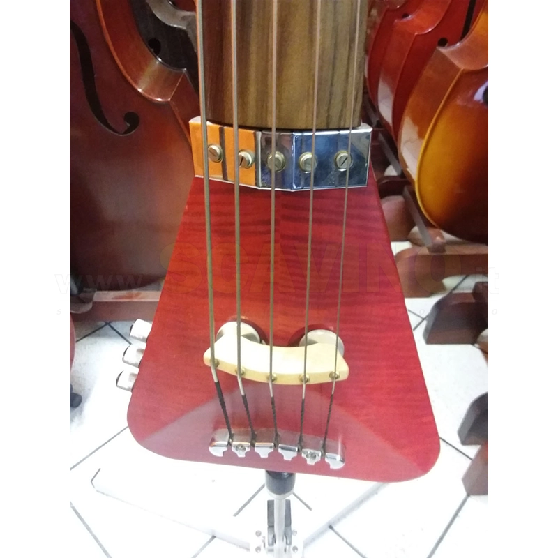 Warwick_Triumph_Standard2