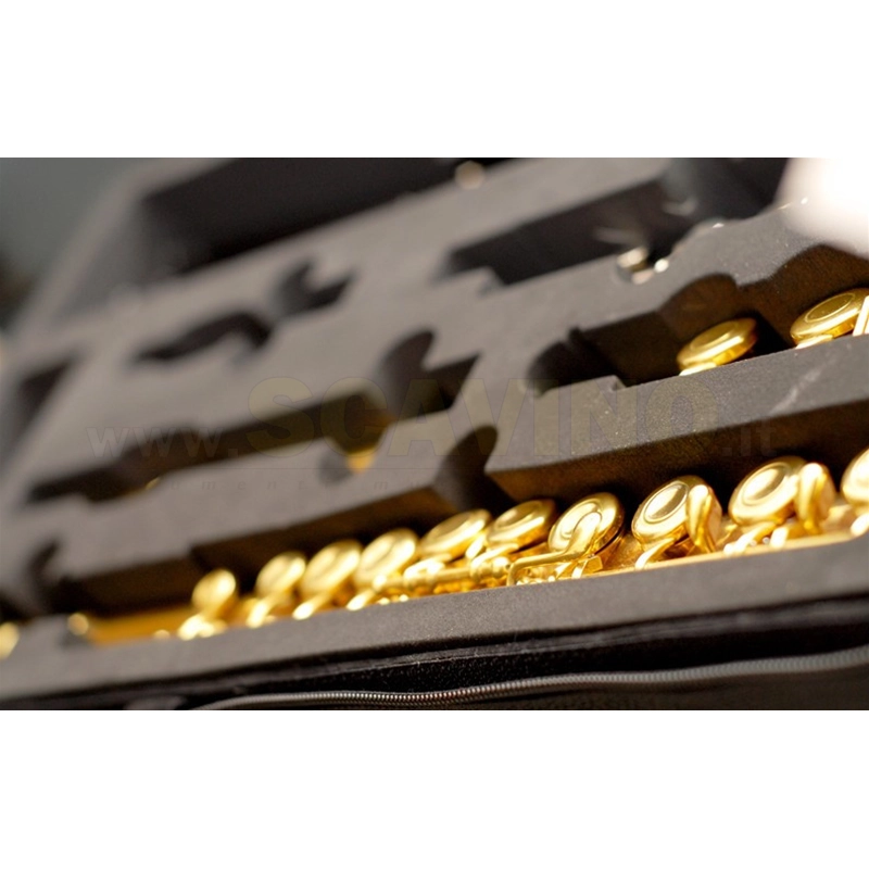 MyFluteBags Custodia per Flauto, Ottavino, Leggio e Spartiti