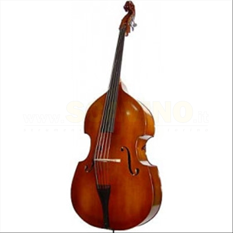 Bruck Contrabbasso B120EU/5 3/4 Reghin a 5 Corde