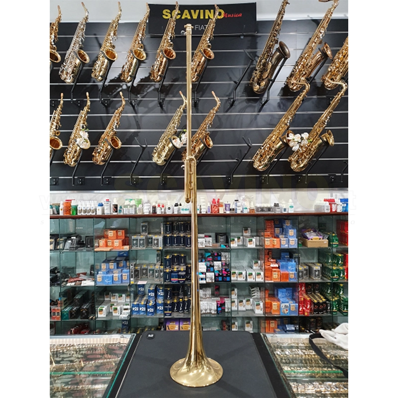 Mario Corso Chiarina in Sib Senza Pistone