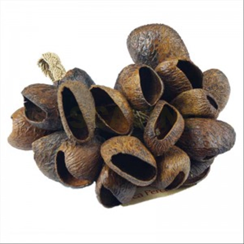 Toca Seed Shell Shaker