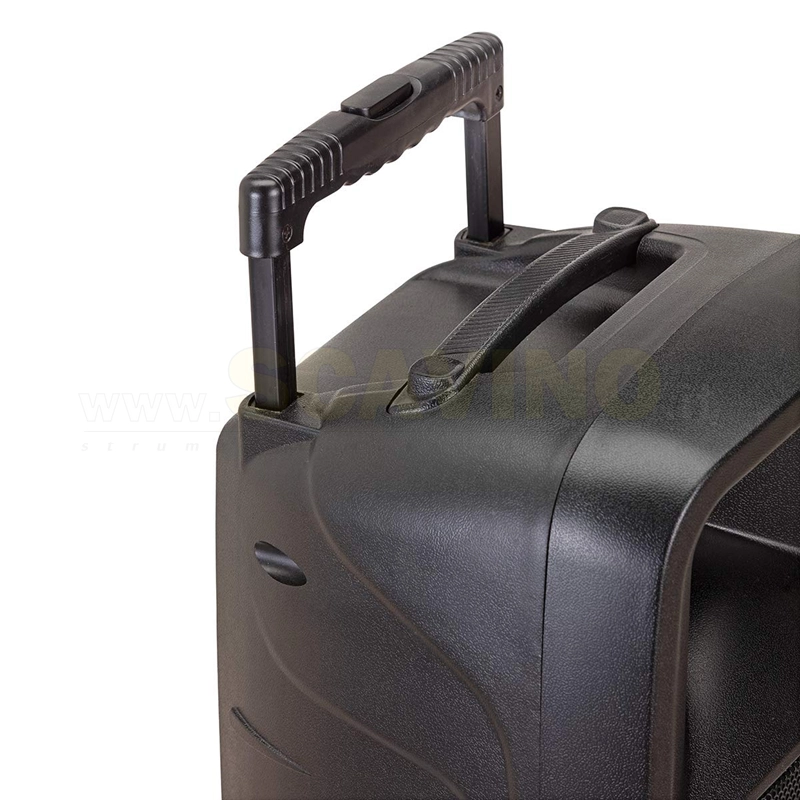 Soundsation Go Sound 10AMW Cassa Attiva a Batteria MP3