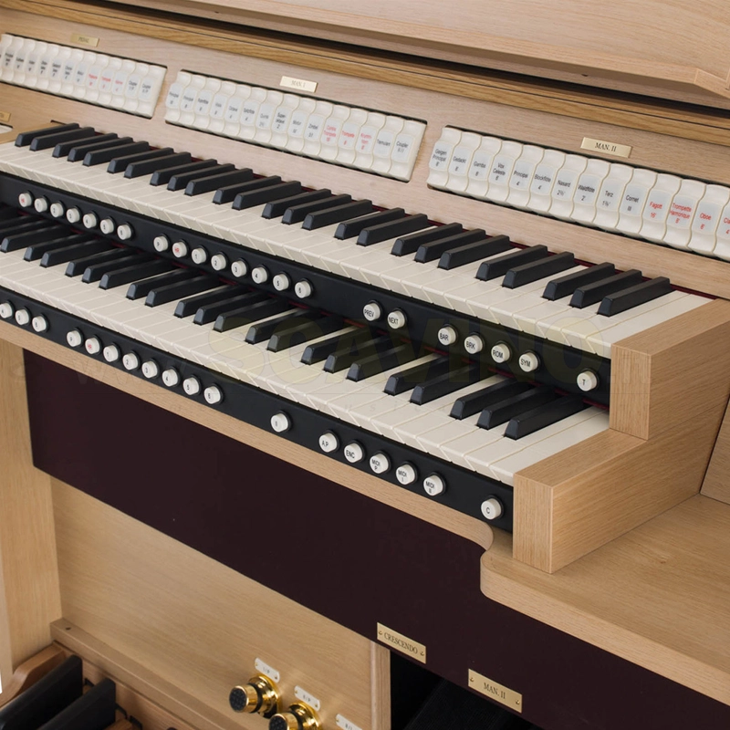 Viscount Chorum 60 DLX Organo liturgico 2 manuali