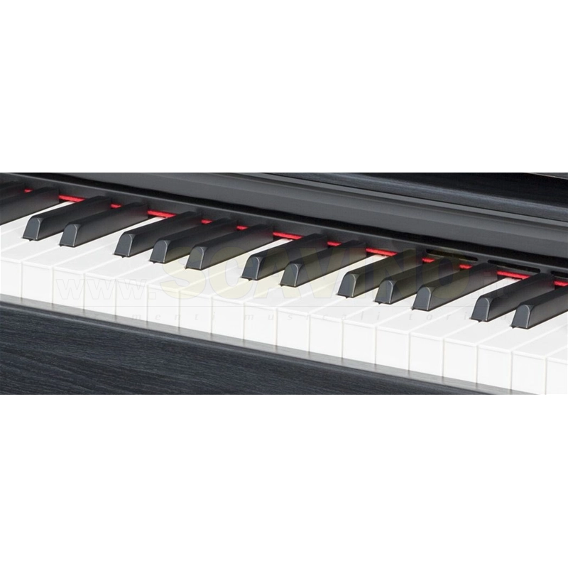 Medeli DP260 Nero pianoforte digitale completo di mobile e tre pedali