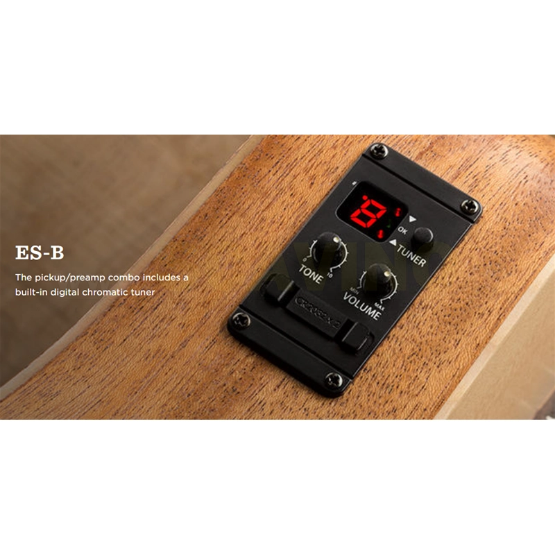 Taylor GS Mini-e Mahogany