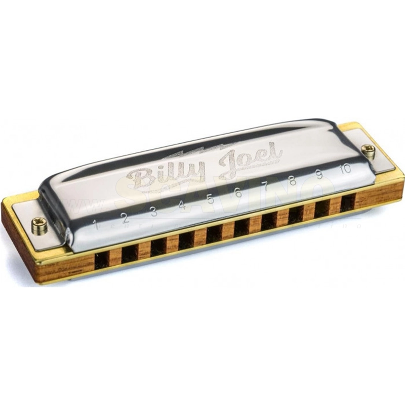 Hohner Armonica Sonny Terry Heritage Edition M191101
