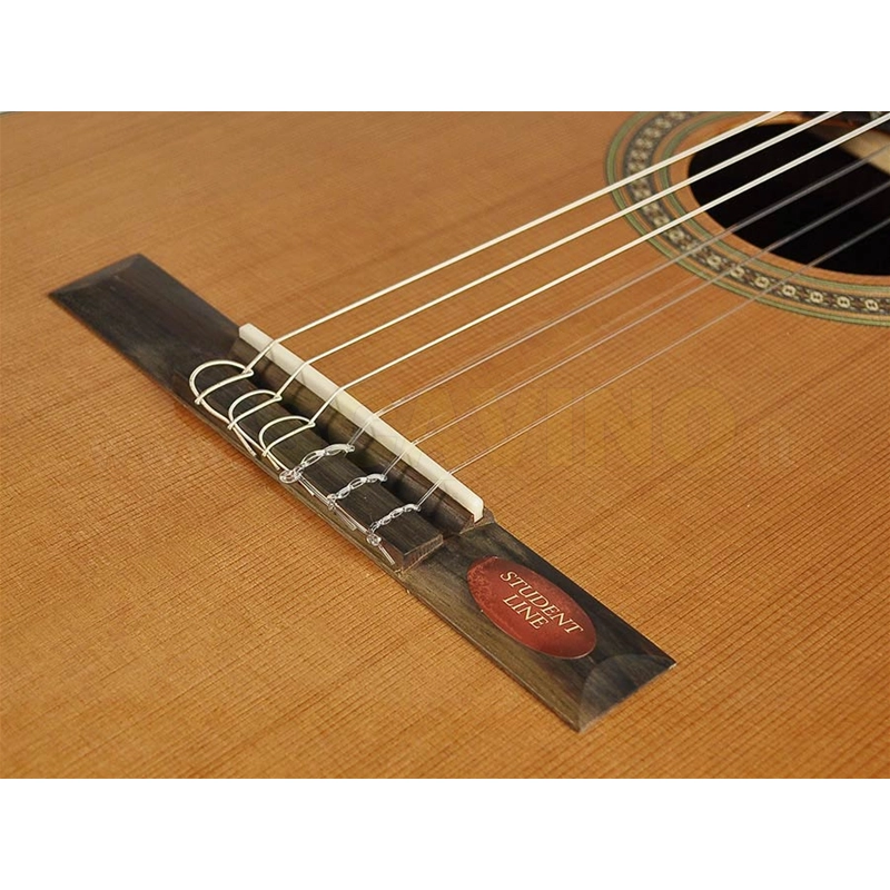 Salvador Cortez CC10 Chitarra classica 4/4