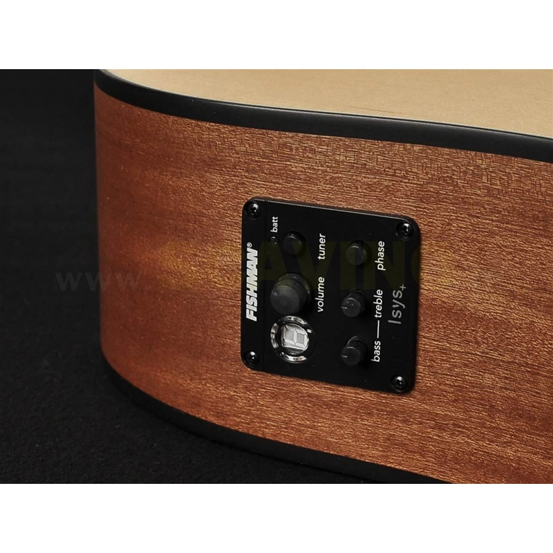 Richwood D-20-CE Chitarra acustica dreadnought elettrificata