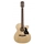 Richwood A-60-CE Chitarra acustica auditorium elettrificata