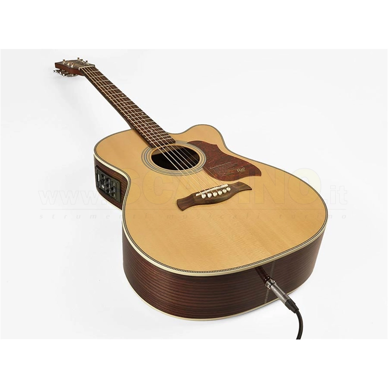 Richwood A-65-CEVA Chitarra acustica auditorium elettrificata