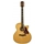 Richwood G70CEVA Chitarra acustica grand auditorium elettrificata