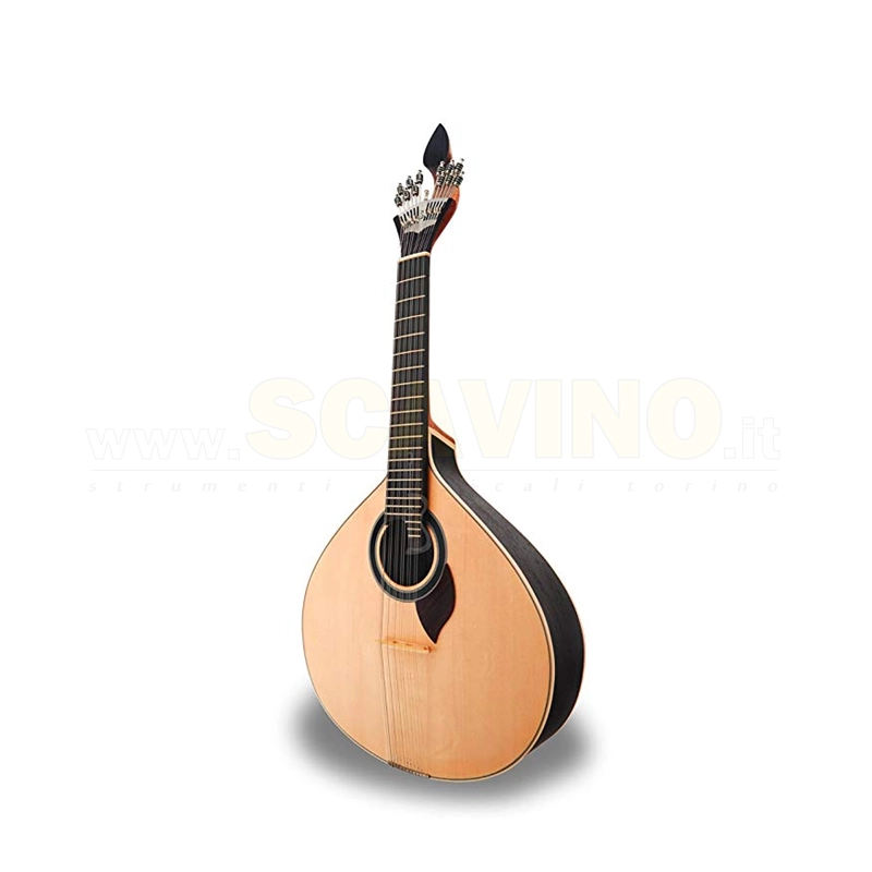 Chitarra Fado Coimbra Portoghese