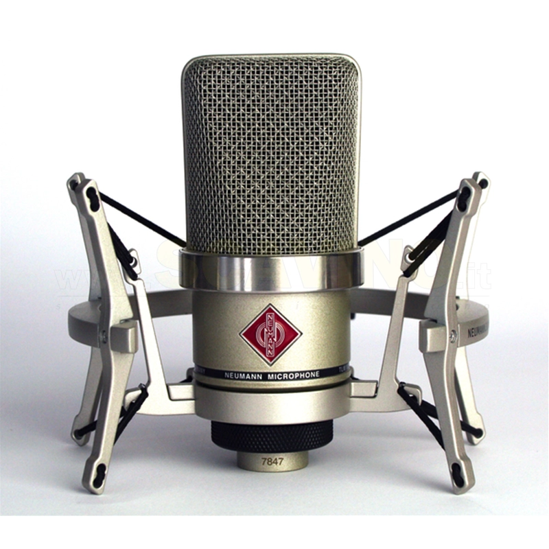 Neumann TLM102 Studio Set Microfono Condensatore con Ragno EA4