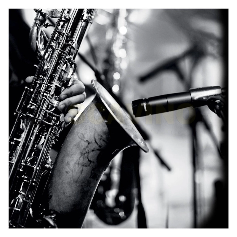 Shure SM57 LC Microfono Cardioide per Strumenti