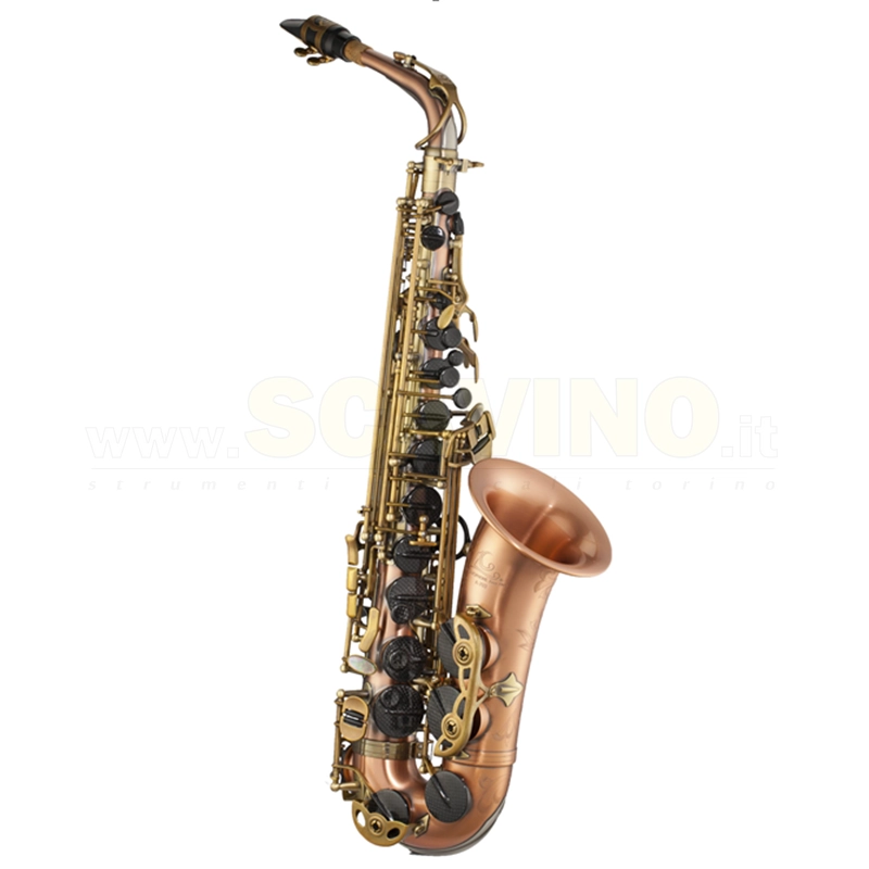 Lien Cheng A-804CB Sax Alto con Chiavi in Fibra di Carbonio