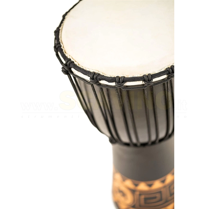 MEINL HDJ1-S Djembe 8" in legno, serie Headliner, tiraggio a corde