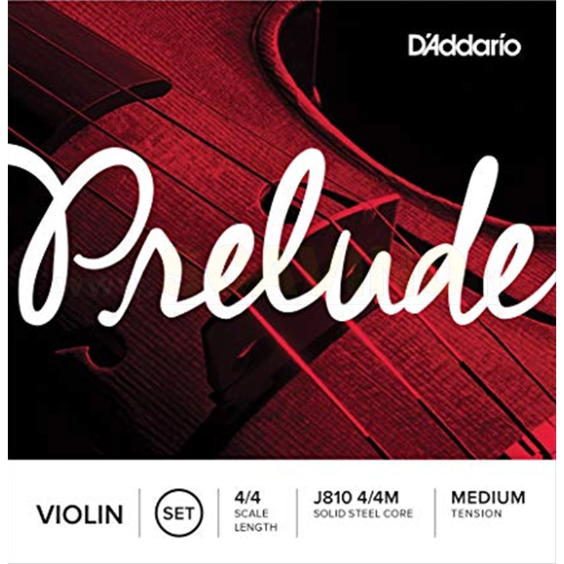 D'Addario Prelude J810M Set Corde Violino 4/4 Medium