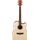 Ibanez PF10CE-OPN - Chitarra acustica elettrificata Natural Open Pore