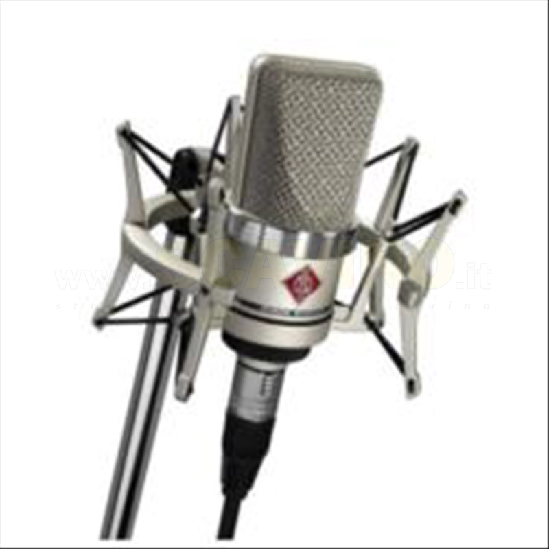 Neumann TLM102 Studio Set Microfono Condensatore con Ragno EA4