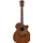 Ibanez AE295LGS Chitarra acustica finitura Natural Low Gloss