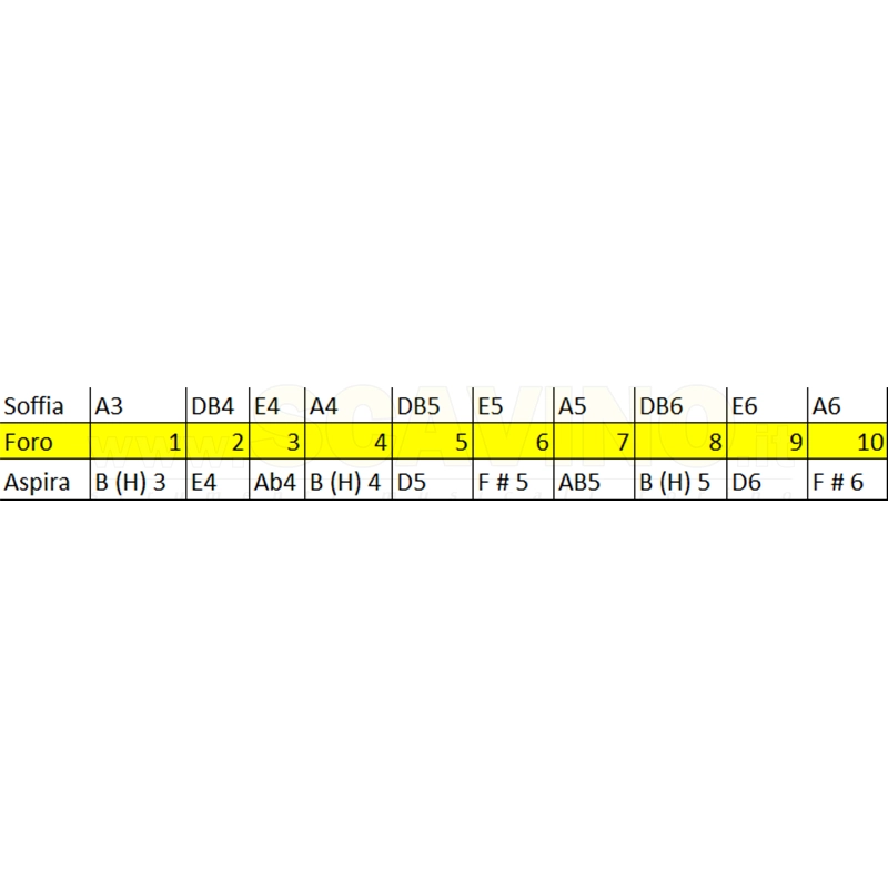 Hohner 560-20 A Armonica Special 20 in La