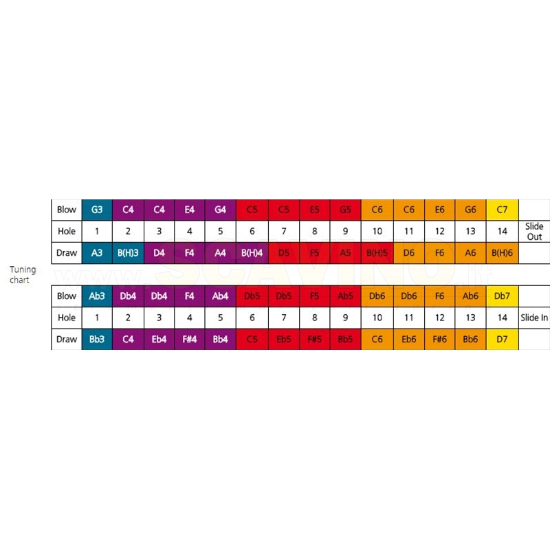 HOHNER MEISTERKLASSE, CROMATICA 56 NOTE