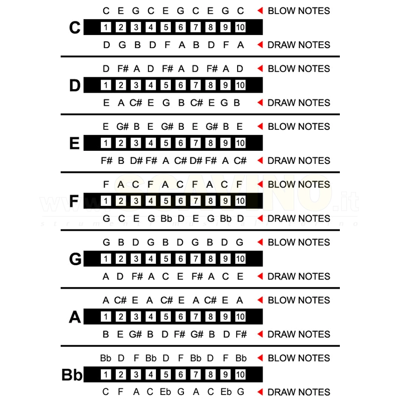 Hohner Blues Harp Armonica in Sol Diatonica