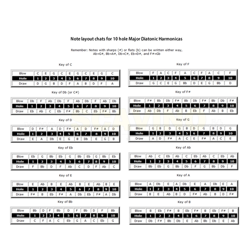 Hohner Armonica Pro Harp F in Fa 562-20 MS