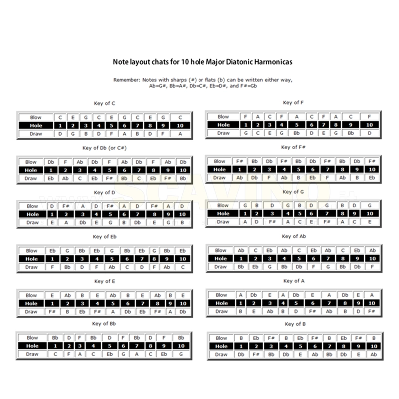 Hohner Armonica Sonny Terry Heritage Edition M191101