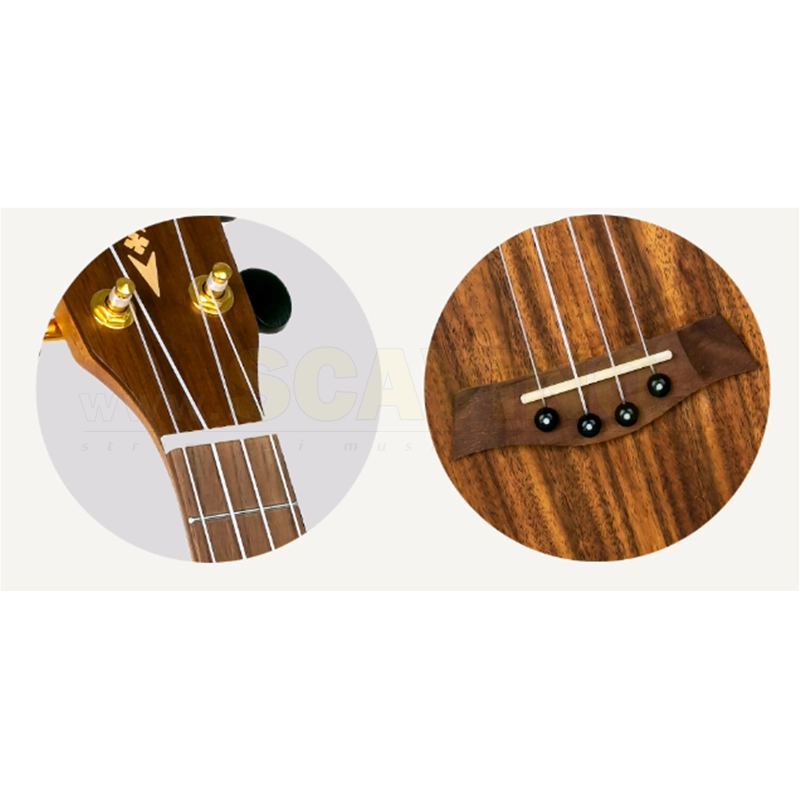 Flight DUC445 Ukulele Concerto in legno Koa lucido