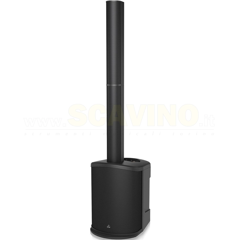 Behringer C210
