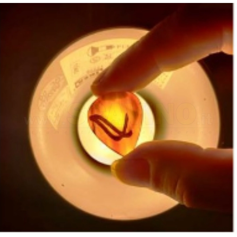 Wambooka Plettro Nativo Piatto in Corno Trasparente