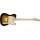 RICHIE KOTZEN TELECASTER®