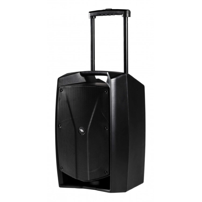 Proel V12WAVE Diffusore a 2 vie bi-amplificato con mixer a 3 canali e MEDIA PLAYER